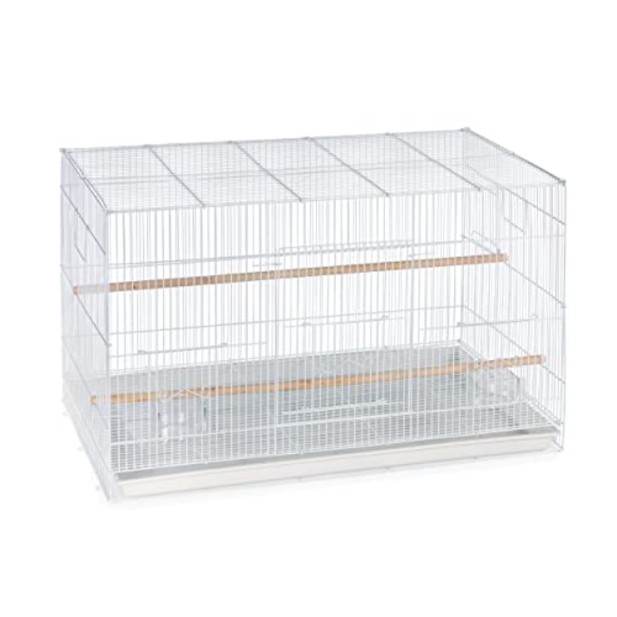 Flight Cage for Multi-Bird Hom - Interior Design And Construction avis et prix