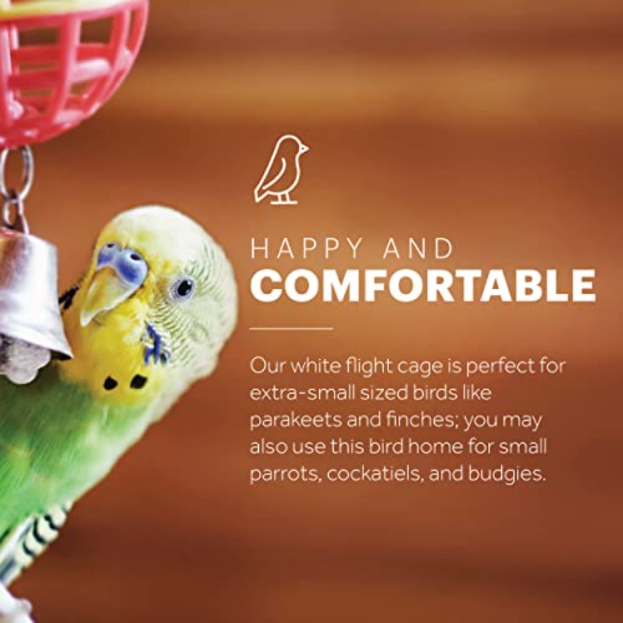 Flight Cage for Multi-Bird Hom - Interior Design And Construction avis et prix