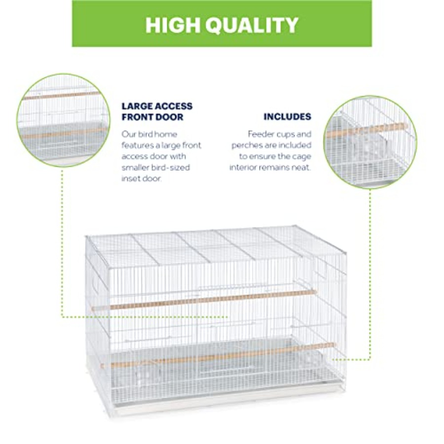 Flight Cage for Multi-Bird Hom - Interior Design And Construction avis et prix