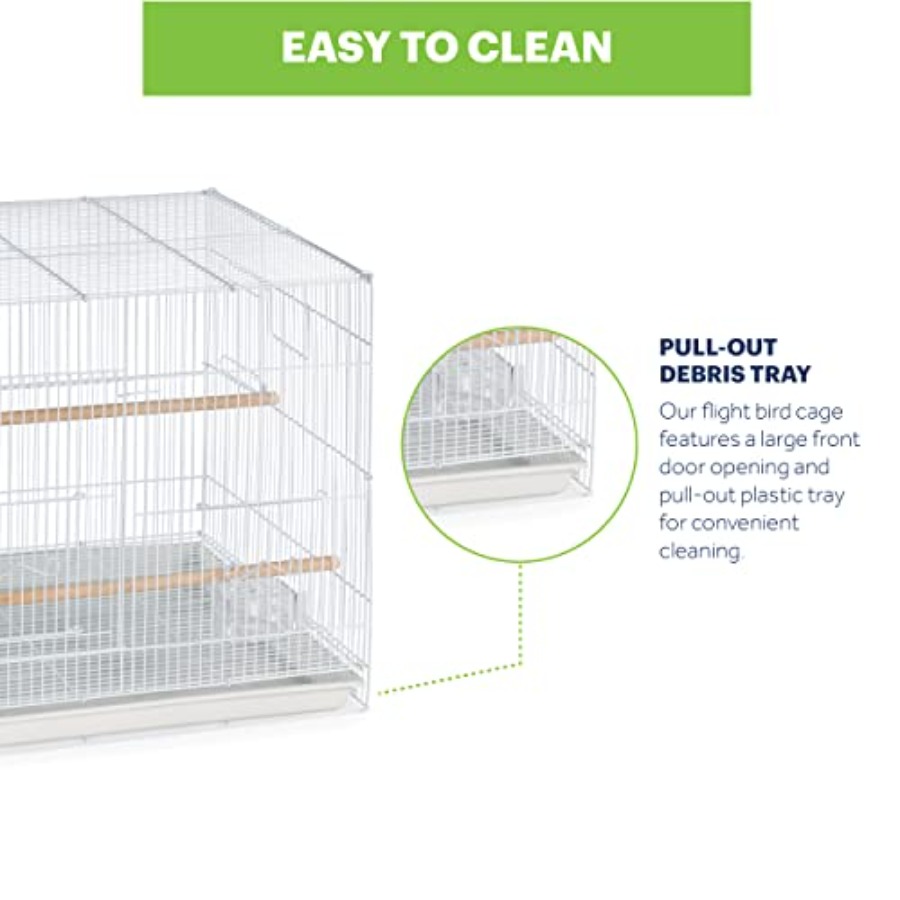 Flight Cage for Multi-Bird Hom - Interior Design And Construction avis et prix